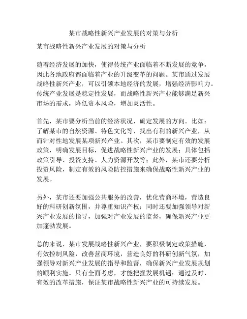 某市战略性新兴产业发展的对策与分析