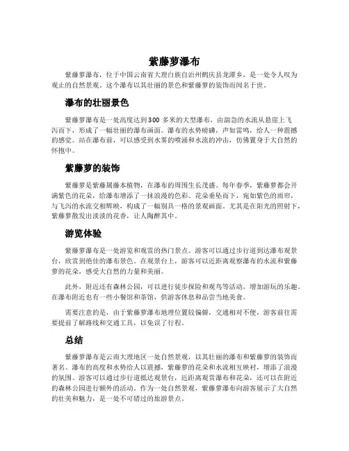 紫藤萝瀑布..