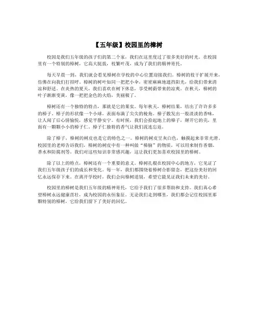 【五年级】校园里的樟树