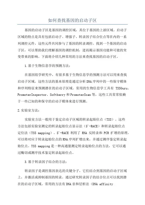 如何查找基因的启动子区