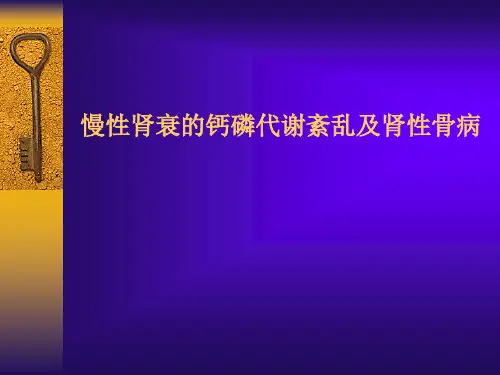 慢性肾衰的钙磷代谢紊乱及肾性骨病