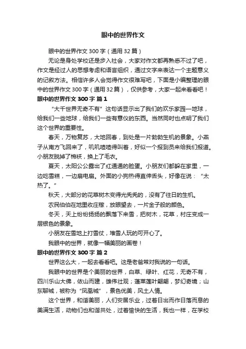 眼中的世界作文