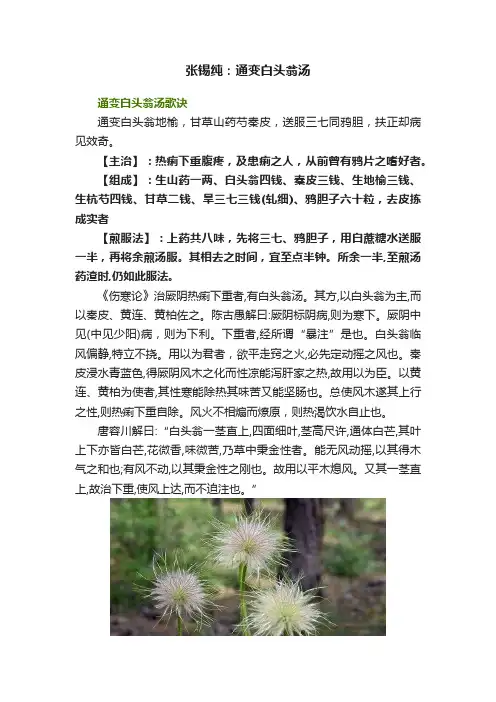 张锡纯：通变白头翁汤