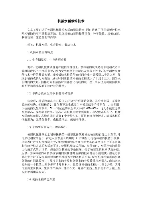 机插水稻栽培技术