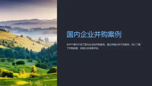《国内企业并购案例》课件