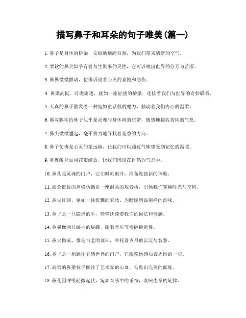 描写鼻子和耳朵的句子唯美(精选两篇)