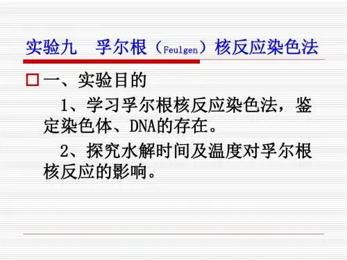 九孚尔根Feulgen核反应染色法