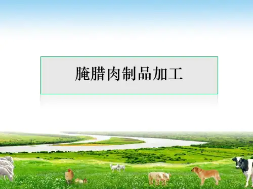 腌腊肉制品加工