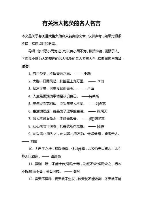 有关远大抱负的名人名言