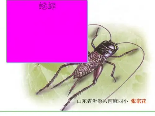 《蟋蟀的住宅》全面版