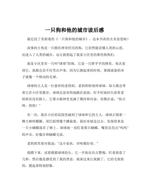 一只狗和他的城市读后感