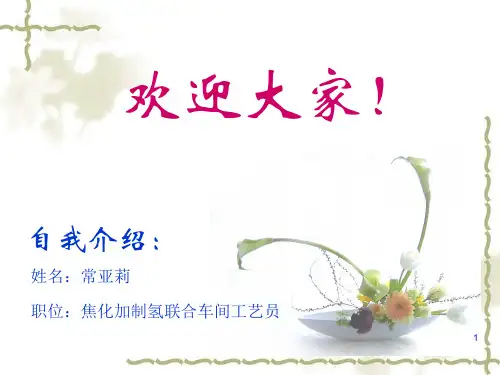 制氢工艺简介PPT幻灯片课件