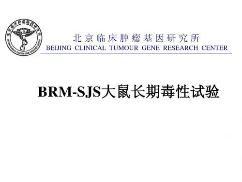 M-SJS大鼠长期毒性试验