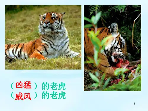 【公开课】四年级下册语文课件 《狐假虎威》课件3_1-5