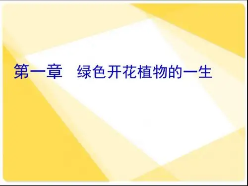 八年级生物PPT课件绿色开花植物的一生