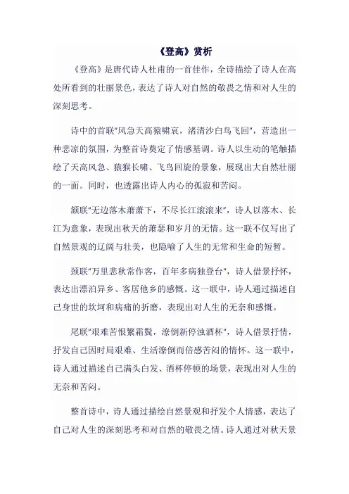 《登高》赏析
