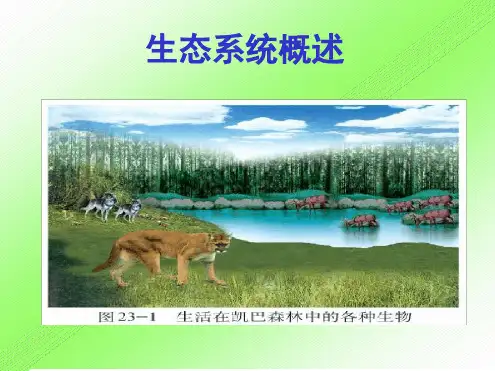 八年级下册生物课件 8232生态系统概述课件3北师大版