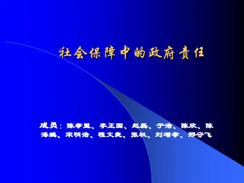 8社会保障中的政府责任