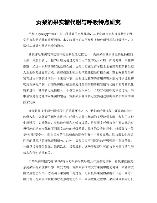 贡梨的果实糖代谢与呼吸特点研究
