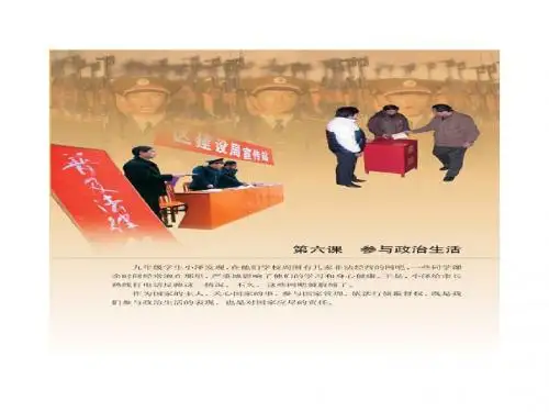 3.6 第三框 依法参与政治生活 课件(人教版九年级全)