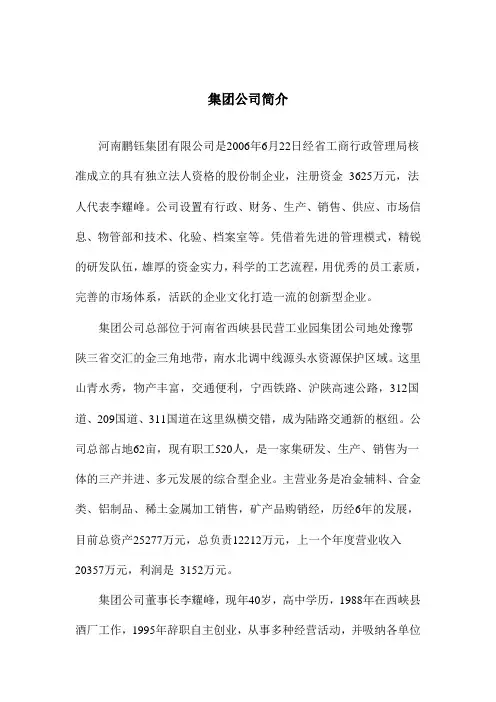 集团公司简介