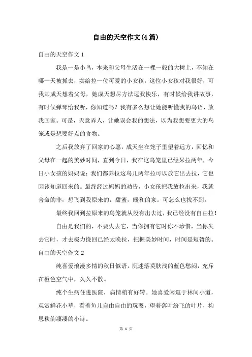 自由的天空作文(4篇)