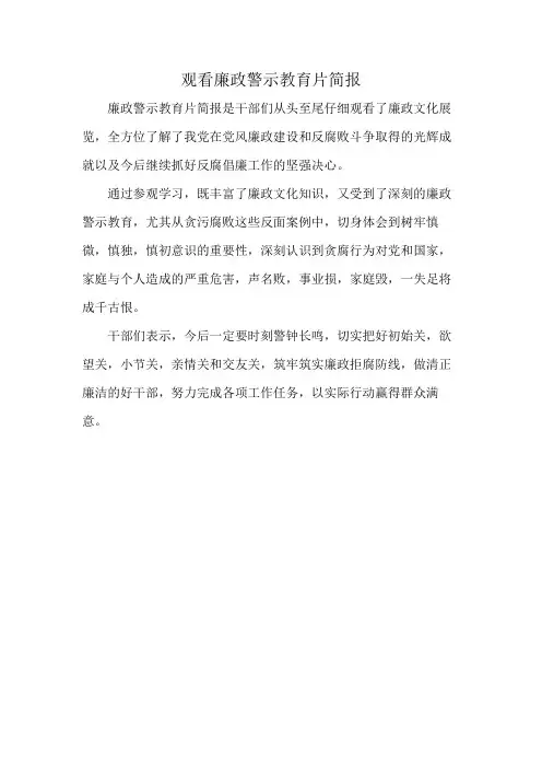 观看廉政警示教育片简报