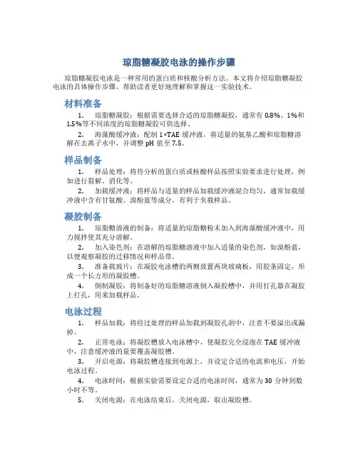 琼脂糖凝胶电泳的操作步骤