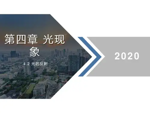 人教版光现象完美课件1