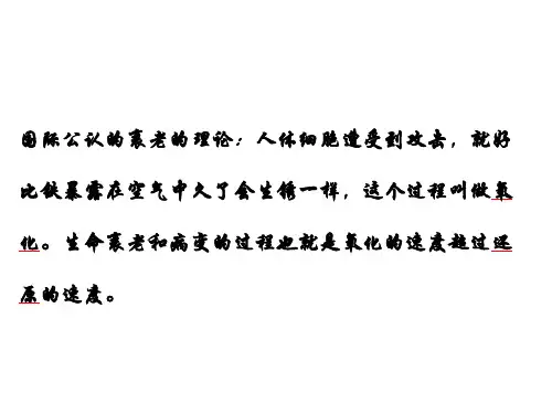 氧化还原反应公开课