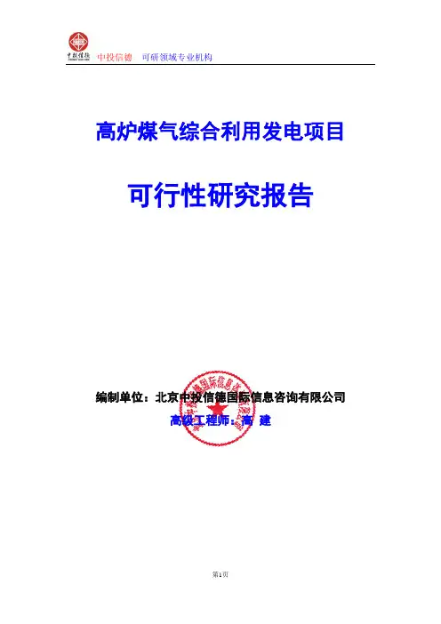 高炉煤气综合利用发电项目可行性研究报告编写格式及参考(模板word)