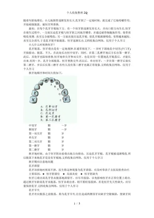 孩子换牙过程的全面解析