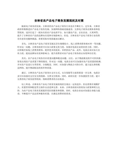 吉林省农产品电子商务发展现状及对策