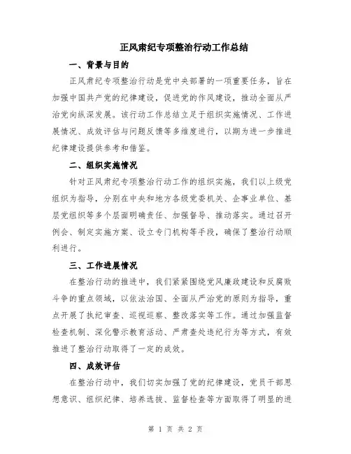 正风肃纪专项整治行动工作总结