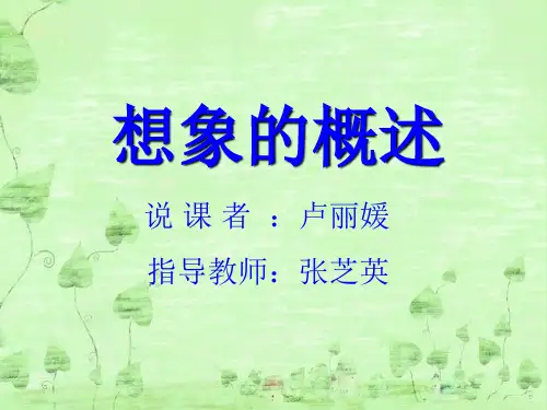 想象的概述(1)(!) (1)