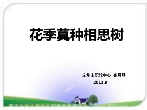 花季莫种相思树  教学课件