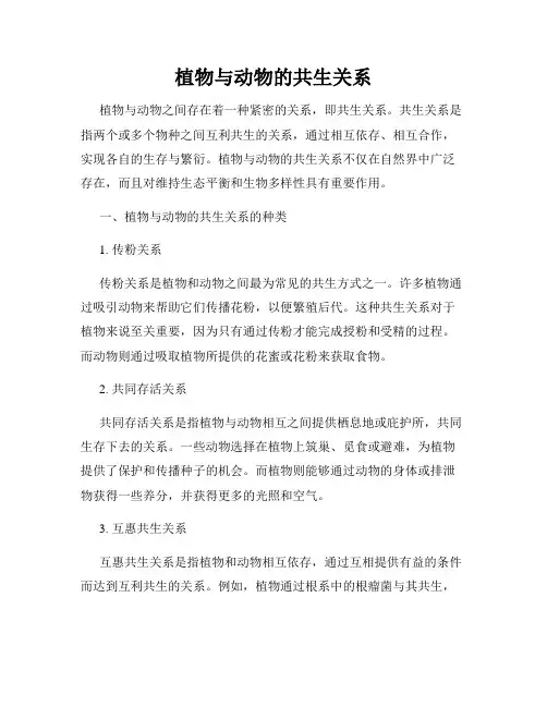 植物与动物的共生关系