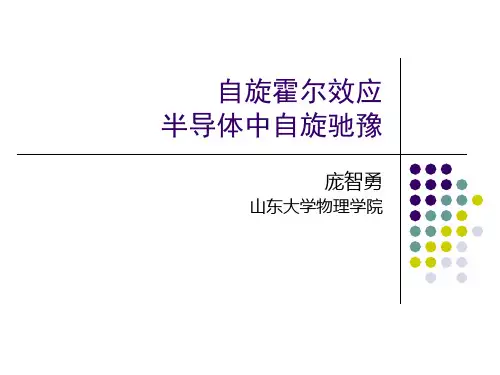 人们普遍认同四种自旋弛豫机制EY机制-更多文档分类