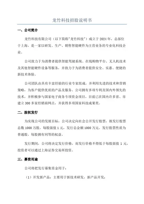 龙竹科技招股说明书
