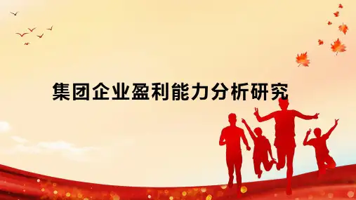 集团企业盈利能力分析研究