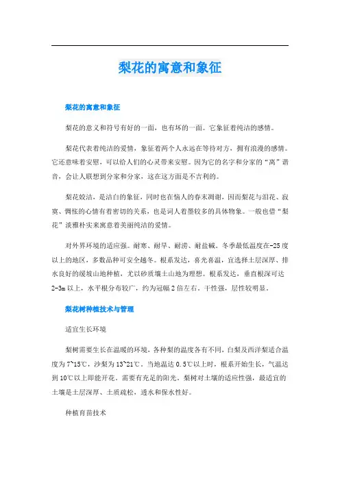 梨花的寓意和象征