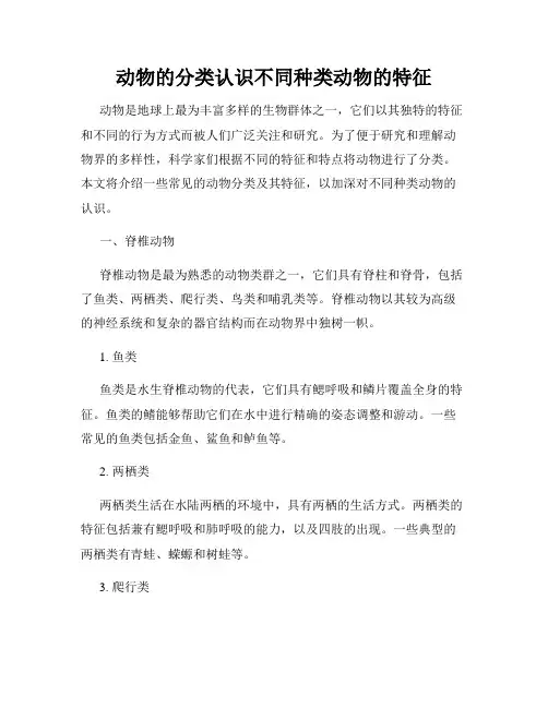 动物的分类认识不同种类动物的特征