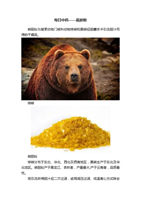 每日中药——熊胆粉