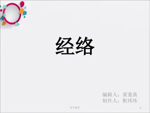 中医基础理论经络课件ppt课件