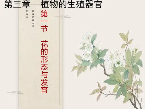 《花的结构和类型》