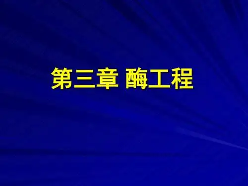 酶工程1中国药科大学生物工程所有课件资料