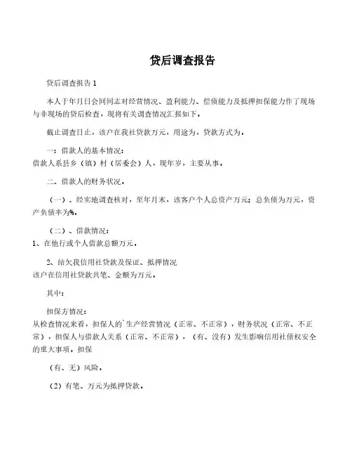 贷后调查报告