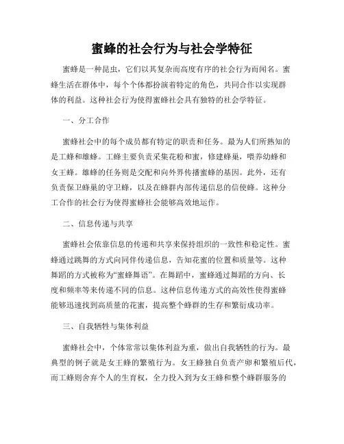 蜜蜂的社会行为与社会学特征