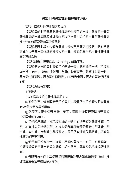 实验十四实验性肝性脑病及治疗