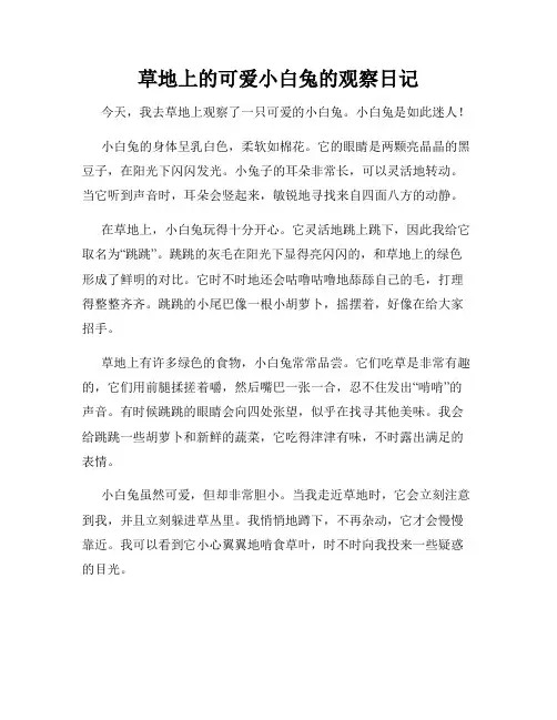 小学三年级作文草地上的可爱小白兔的观察日记